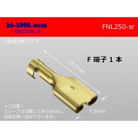 250 Type  No lock F terminal   only  ( No sleeve )/FNL250-sr