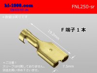 250 Type  No lock F terminal   only  ( No sleeve )/FNL250-sr