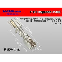 battery  For couplers  Fuse terminal - [SWS] /F-BT-kapuraK-FUSE