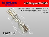 battery  For couplers  Fuse terminal - [SWS] /F-BT-kapuraK-FUSE
