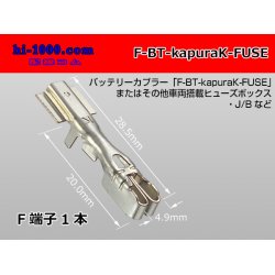 Photo1: battery  For couplers  Fuse terminal - [SWS] /F-BT-kapuraK-FUSE