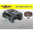 Photo2: ■[yazaki] DMS (injector) F side center rib connector + rear holder (no terminals) /2P110WP-DMS-F-tr (2)