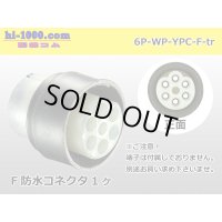 ●[yazaki] YPC waterproofing 6 pole F connector (no terminals) /6P-WP-YPC-F-tr