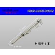 Photo1: ■[TE] 025 type 0.64 series M terminal /M025-AMP3-02205 (1)
