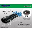 Photo1: Delphi [Delphi] HB3 [color Black] M Connector only ( No terminal )/HB3-M-tr (1)