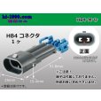 Photo1: Delphi [Delphi] HB4 [color Gray] M Connector only ( No terminal )/HB4-M-tr (1)
