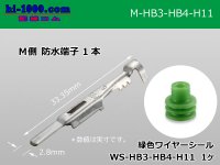 Delphi [Delphi] HB3/HB4/H11  /waterproofing/ M Terminal /M-HB3-HB4-H11