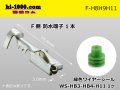 Delphi [Delphi] H8/H9/H11  /waterproofing/ F Terminal /F-H8H9H11