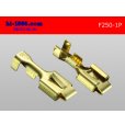 Photo2: [yazaki]250 Type  1 pole exclusive use  female  terminal /F250-1P (2)