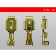Photo3: [yazaki]250 Type  1 pole exclusive use  female  terminal /F250-1P (3)