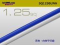 ●1.25sq parallel lines(1m) 　 [color Blue / White] /SQ125BLWH