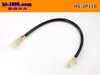 both ends 2P(110 Type ) Harness /HS-2P110