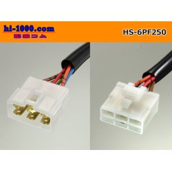 Photo2: both ends 6P(250 Type ) Harness /HS-6PF250