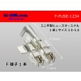 Photo1: Mini flat type  Type fuse Terminal   Duplicate   L size AVS3.0-5.0 (1)