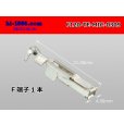 Photo1:  [TE]120 model multi-interlock F terminal 0.3-0.9 / F120-TE-MIC-0309 (1)