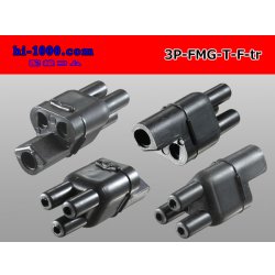 Photo1: Bullet Terminal 形 Terminal   Triode cylinder F connector - Triangle only  (No terminal)