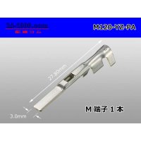 120 Type PA series M Terminal /M120-YZ-PA