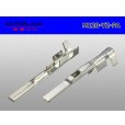 Photo2: 120 Type PA series M Terminal /M120-YZ-PA (2)