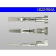 Photo3: 120 Type PA series M Terminal /M120-YZ-PA (3)