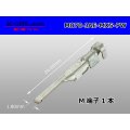 ●[JAE] 070 Type   MX5-A series male Terminal /M070-JAE-MX5-PW