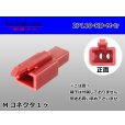 Photo1: ●[sumitomo] 110 type 2 pole M connector[red] (no terminals) /2P110-RD-M-tr (1)