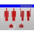Photo3: ●[sumitomo] 110 type 2 pole M connector[red] (no terminals) /2P110-RD-M-tr (3)