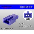 Photo1: ●[sumitomo] 110 type 3 pole M connector[blue] (no terminals) /3P110-BL-M-tr (1)