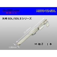 ● [yazaki] 060SDL_SDL-II Non waterproof male Terminal /M070-YZ-SDL