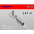 Photo1: Round Bullet Terminal  female  terminal -3.0-5.0sq Electric cable  ( Sleeve 無)/FG30-sr (1)