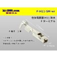 Photo1: [SWS] H11 connector   terminal ( Wire seal 無)/F-H11-SM-wr (1)