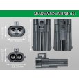 Photo3: ●[REINSHAGEN]  MP630 series 2 pole waterproofing M connector (no terminal)/2P250WP-MP630-M-tr  (3)