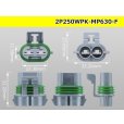 Photo3: ●[REINSHAGEN]  MP630 series 2 pole waterproofing F connector (no terminal)/2P250WP-MP630-F-tr  (3)
