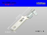 Photo: [Yazaki] 250 type male terminal (for the 0.85-2.0mm2 electric wire) male terminal [sn plating] /M250sn