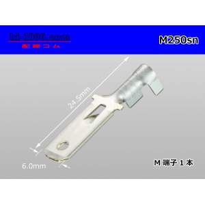 Photo: [Yazaki] 250 type male terminal (for the 0.85-2.0mm2 electric wire) male terminal [sn plating] /M250sn