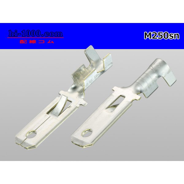 Photo2: [Yazaki] 250 type male terminal (for the 0.85-2.0mm2 electric wire) male terminal [sn plating] /M250sn (2)