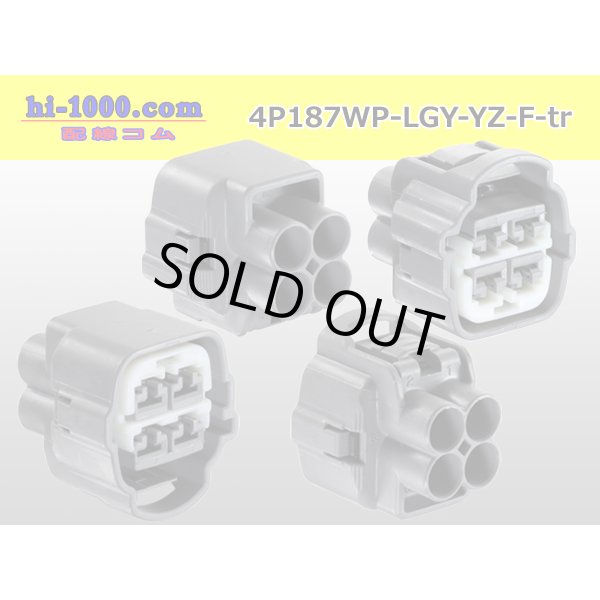 Photo2: 4P187WP-LGY-YZ-F-tr (2)