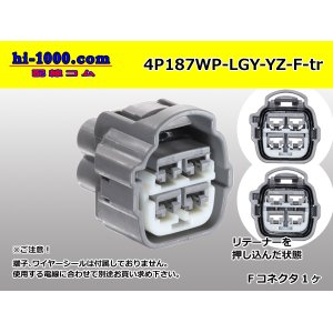 Photo: 4P187WP-LGY-YZ-F-tr