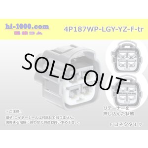 Photo: 4P187WP-LGY-YZ-F-tr