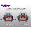 Photo5: ●[sumitomo] 090 type MT waterproofing series 2 pole F connector [gray]（no terminals）/2P090WP-MT-J-F-tr (5)