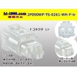 Photo1: ●[sumitomo] 090 type TS waterproofing series 2 pole F connector [white]（no terminals）/2P090WP-TS-0261-WH-F-tr (1)