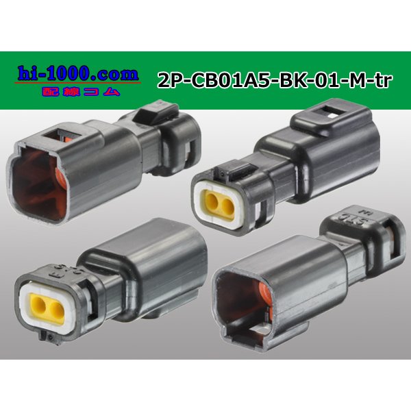 Photo2: ●[sumiko tec] CB01 series 2 pole waterproofing M connector (no terminals)/2P-CB01A5-BK-01-M-tr (2)
