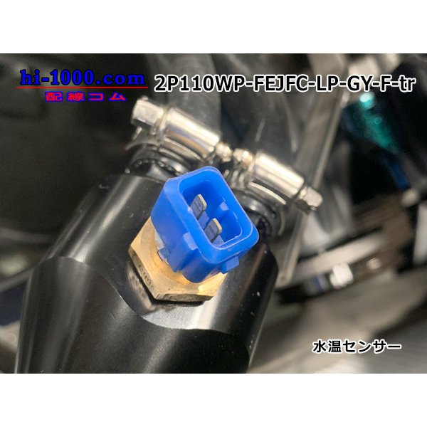 Photo5: Only as for Furukawa Electric 110 type JFC type 2 pole F connector according to the [gray] terminal /2P110WP-FEJFC-LP-GY-F-tr (5)