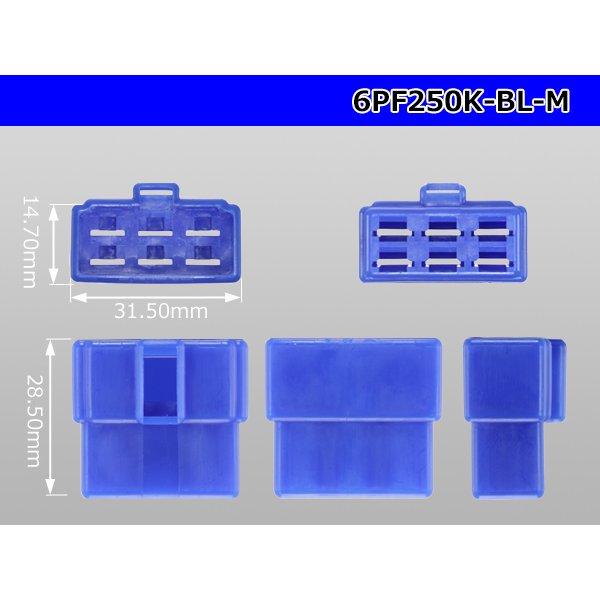 Photo3: ●[yazaki] 250 type 6 pole CN(A) series M connector[blue] (no terminals) /6PF250-BL-M-tr (3)