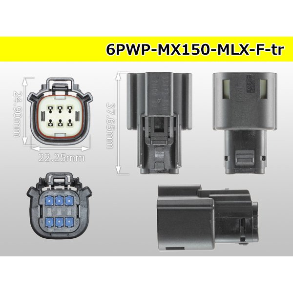 Photo3: ●[Molex] MX150 series 6 pole F side connector (no terminal)/6PWP-MX150-MLX-F-tr (3)