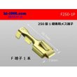 Photo1: [yazaki]250 Type  1 pole exclusive use  female  terminal /F250-1P (1)