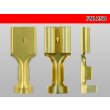 Photo3: [Nippon Tanshi]250 Type No lock F terminal only  ( No sleeve )/MNL250-sr (3)