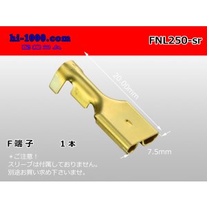 Photo: [Nippon Tanshi]250 Type No lock F terminal only  ( No sleeve )/MNL250-sr