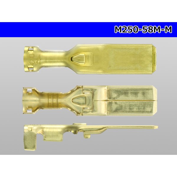 Photo2: [Yazaki] 250 type 58 series M type M terminal (Medium size) /M250-58M-M (2)