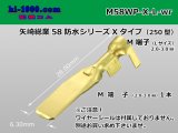 Photo: [YAZAKI]250 type waterproofing 58 connector X type Male terminal large size (WS nothing) /M58WP-X-L-wr