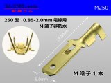 Photo: [Yazaki] 250 type male terminal (for the 0.85-2.0mm2 electric wire) male terminal /M250